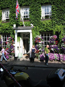 Das White Vine in Rye